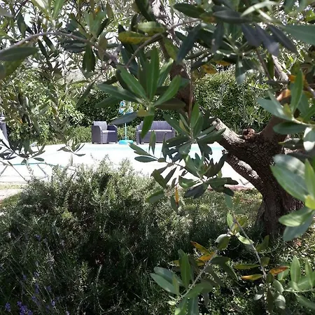 Ana Marija Apartment