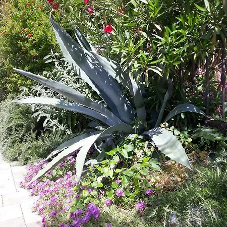 Apartment Ana Marija