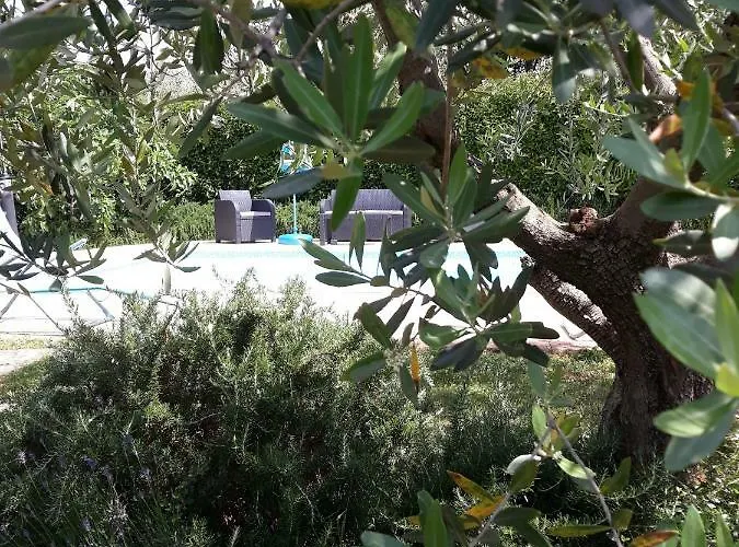 Ana Marija Lejlighed