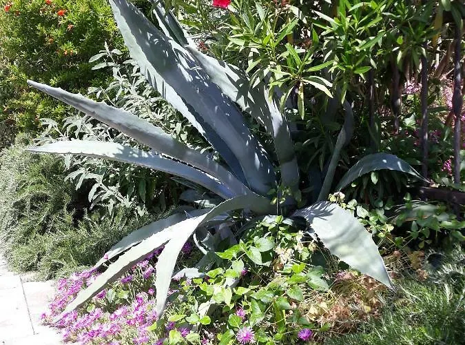 Lejlighed Ana Marija